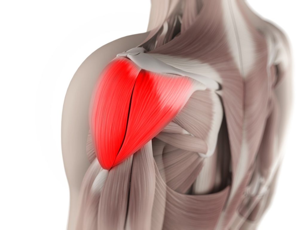 These 10 Exercises Are the Key to Rock-Solid Shoulders