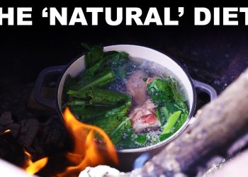 Why raw, paleo and keto diets are stupid