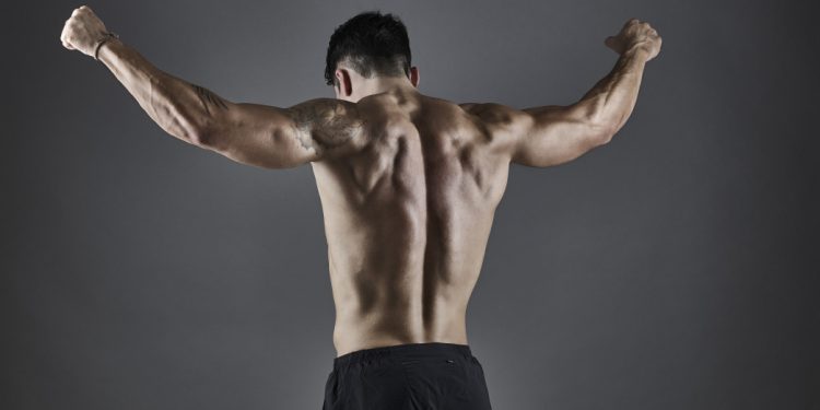 Researchers Reveal Best Food to Build Muscle by Summer