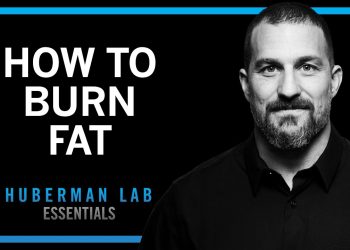 Lose Fat With Science-Based Tools | Huberman Lab Essentials