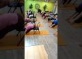 Chair Yoga for All: Gentle Flow for Seniors, Beginners, and Office