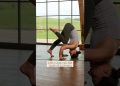 How to enter headstand if you are a beginner